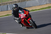 brands-hatch-photographs;brands-no-limits-trackday;cadwell-trackday-photographs;enduro-digital-images;event-digital-images;eventdigitalimages;no-limits-trackdays;peter-wileman-photography;racing-digital-images;trackday-digital-images;trackday-photos